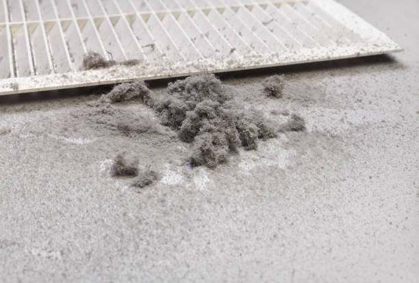 Best Residential Air Duct Cleaning  in Moreland, ID