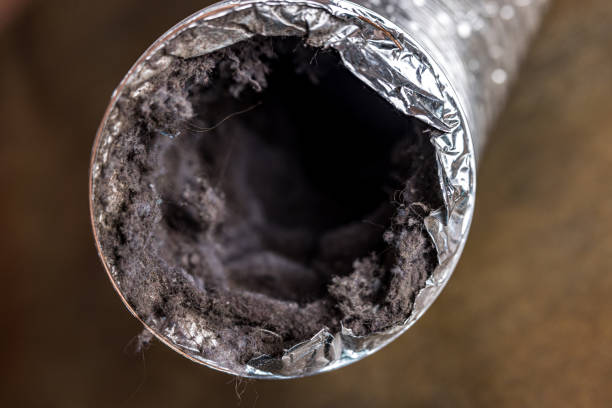Best Local Air Duct Cleaning Services  in Moreland, ID
